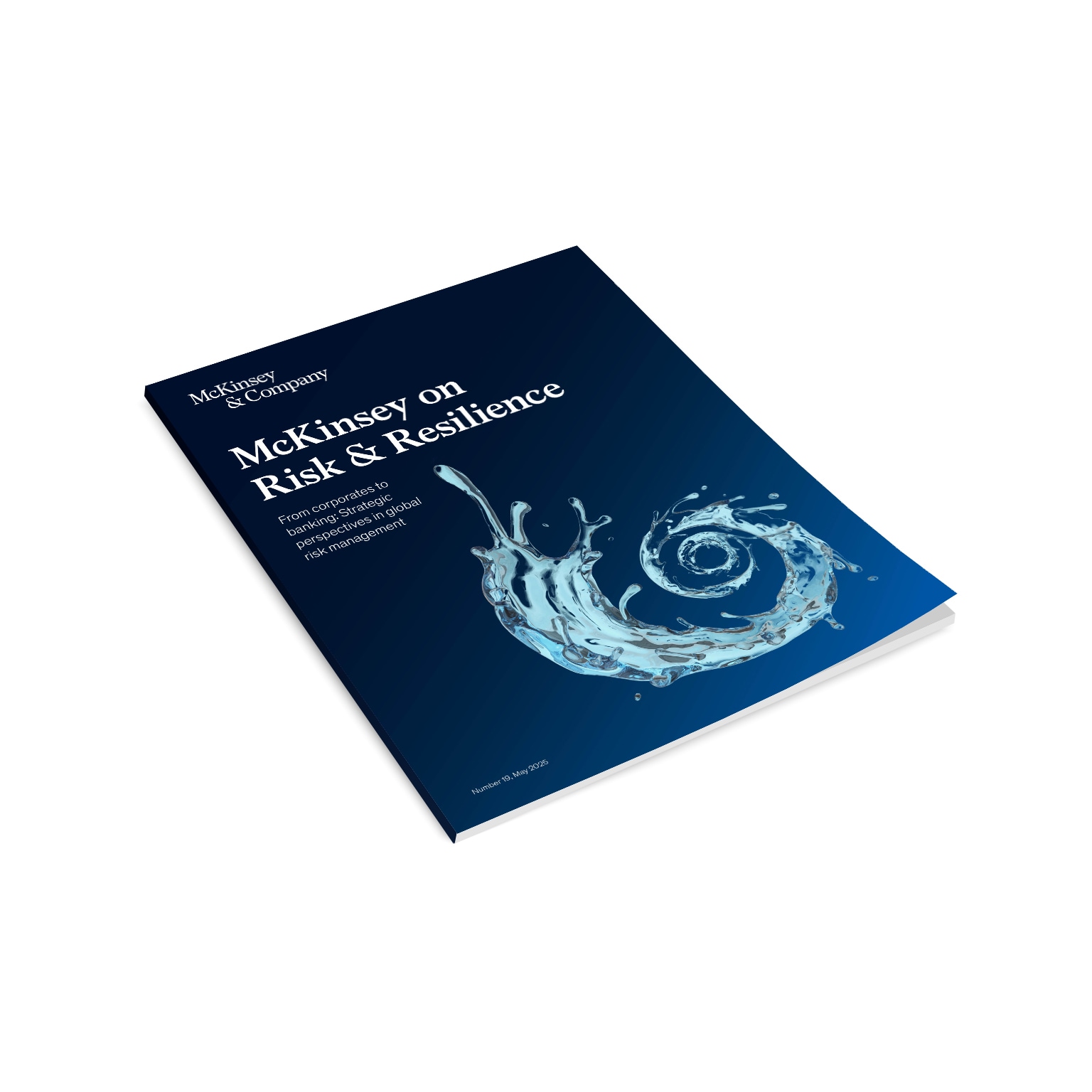 McKinsey on Risk Number 19 cover