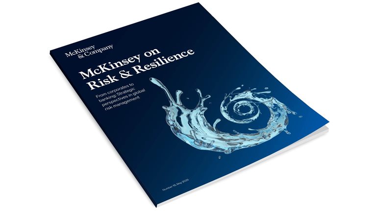 McKinsey on Risk Number 19 cover