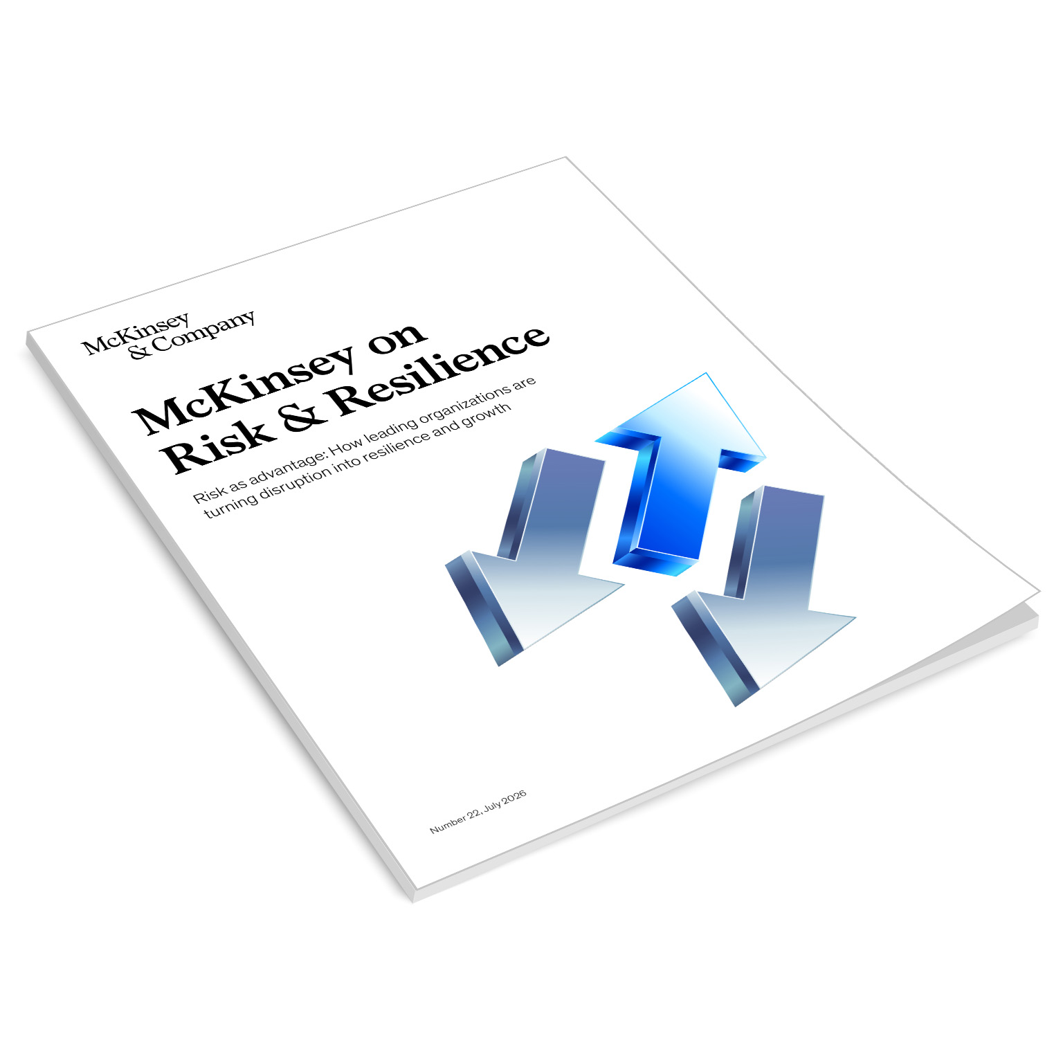 McKinsey on Risk Number 22