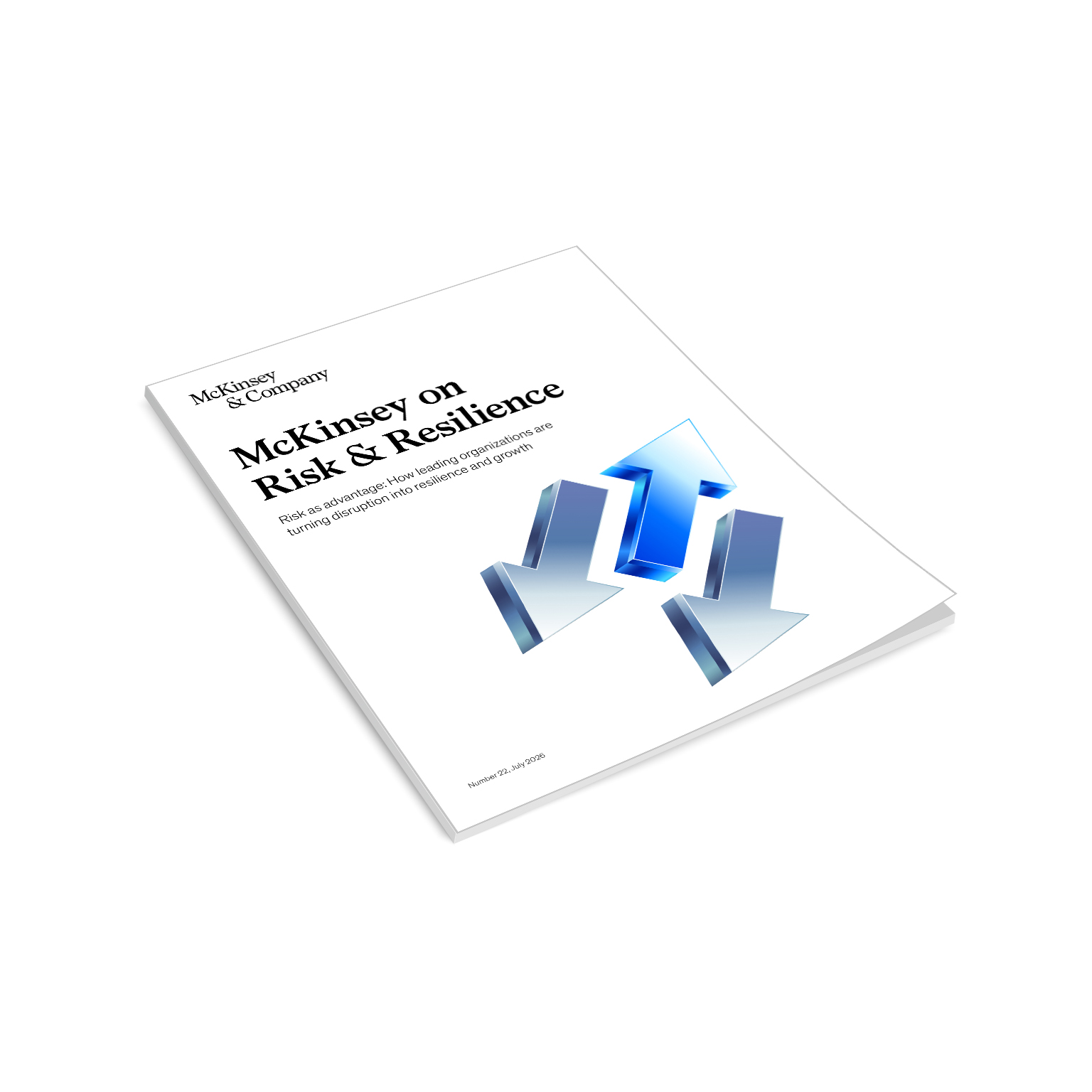 McKinsey on Risk Number 22