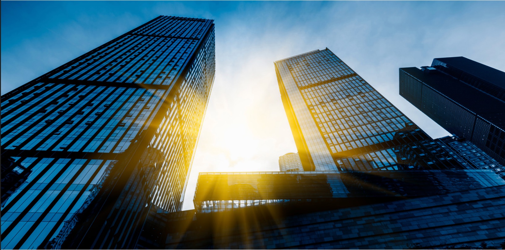 CFO insights