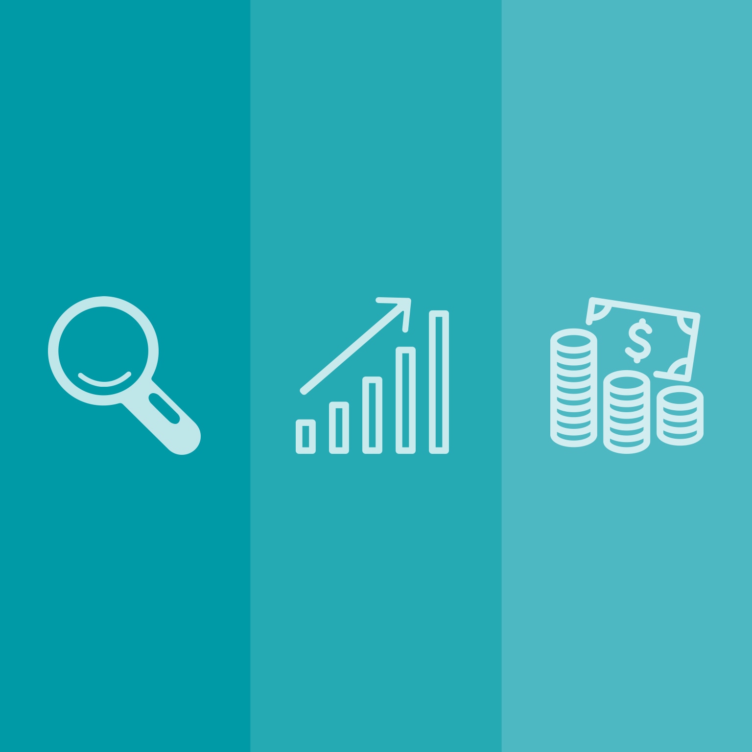 Charting a growth path for a newly public company