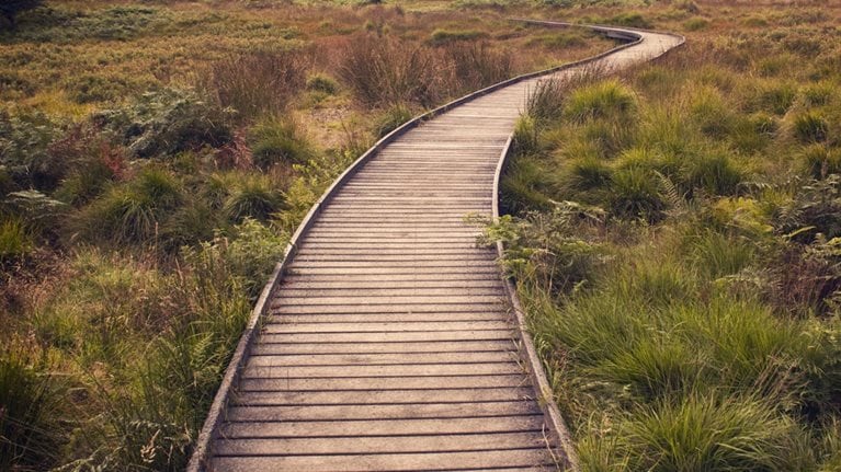 037 A long-term look at ROIC main image_Original