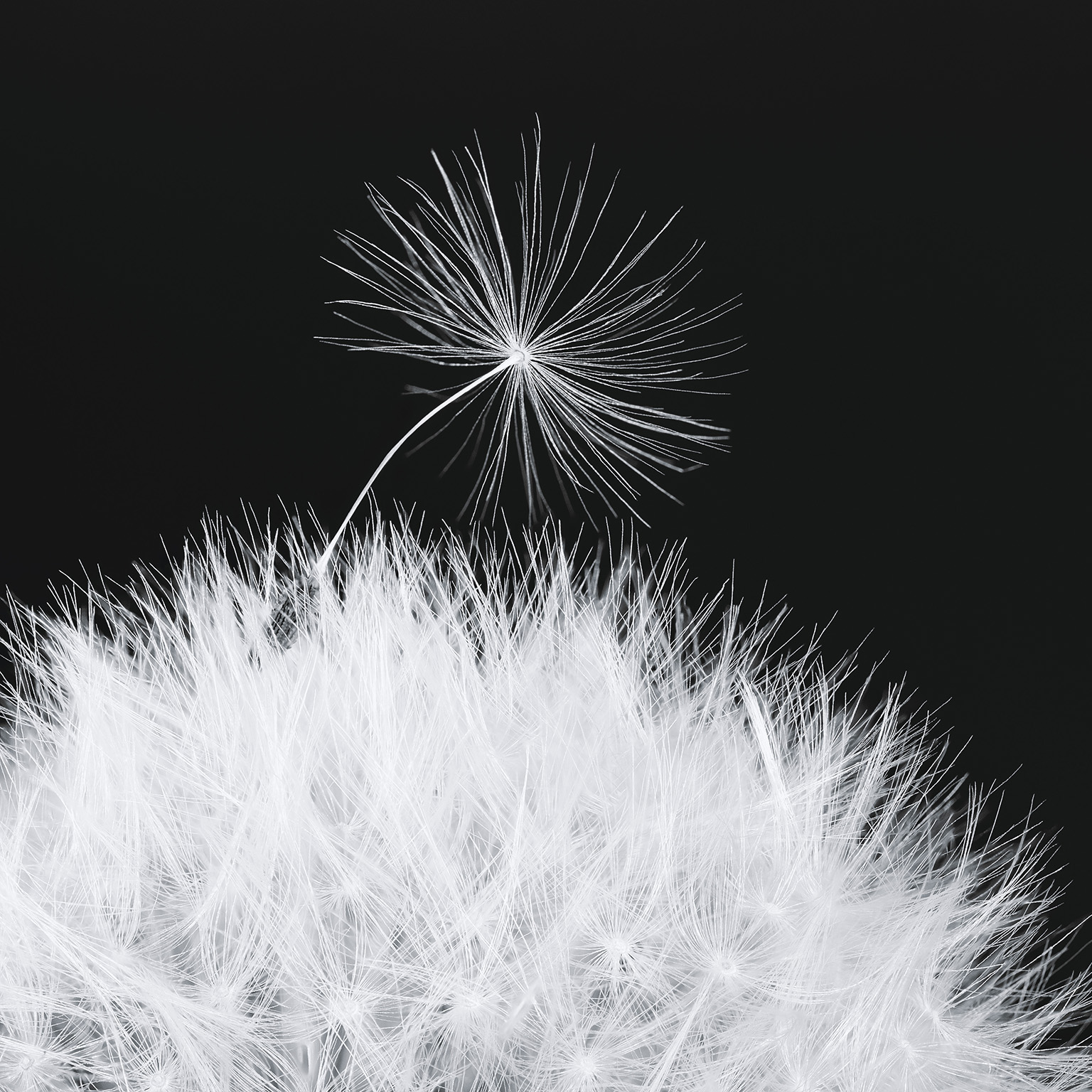 Achieving win-win spin-offs