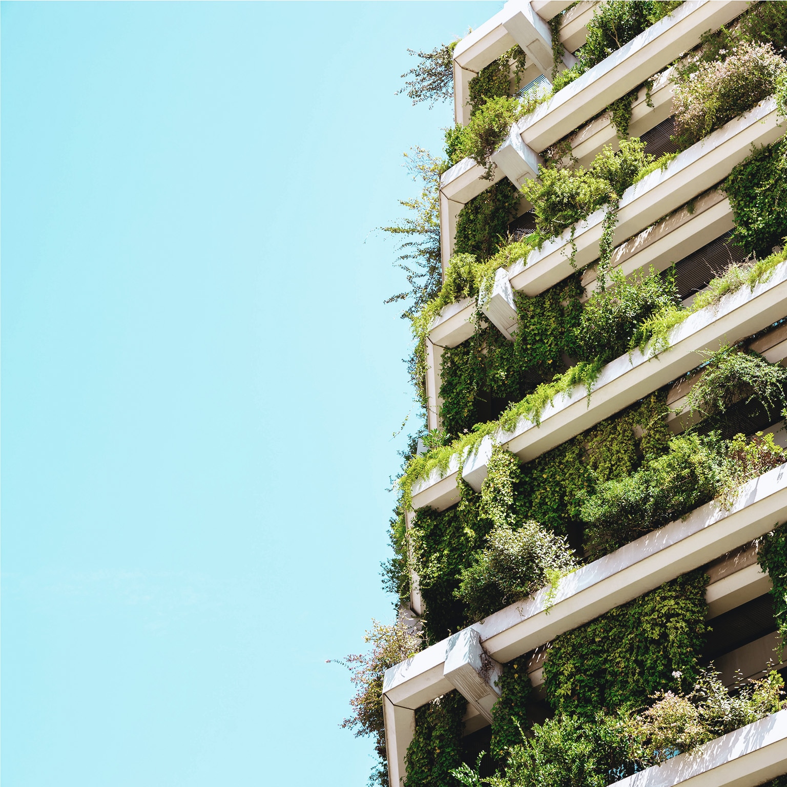 Boards and sustainability