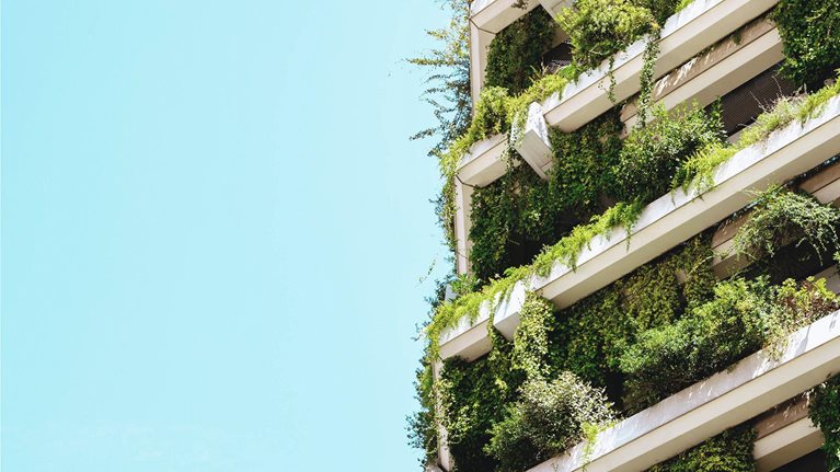 Boards and sustainability