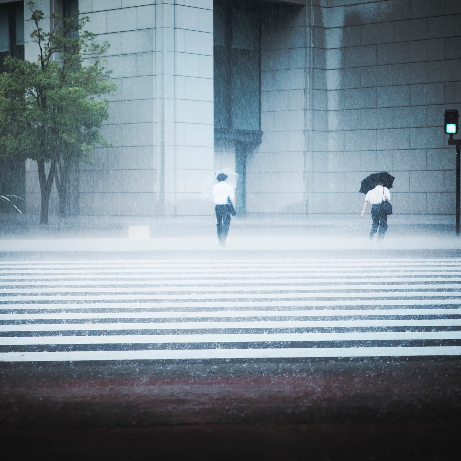 Corporate purpose, during crisis and beyond