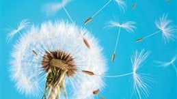 Divestitures How to invest_1536x1536_Browse