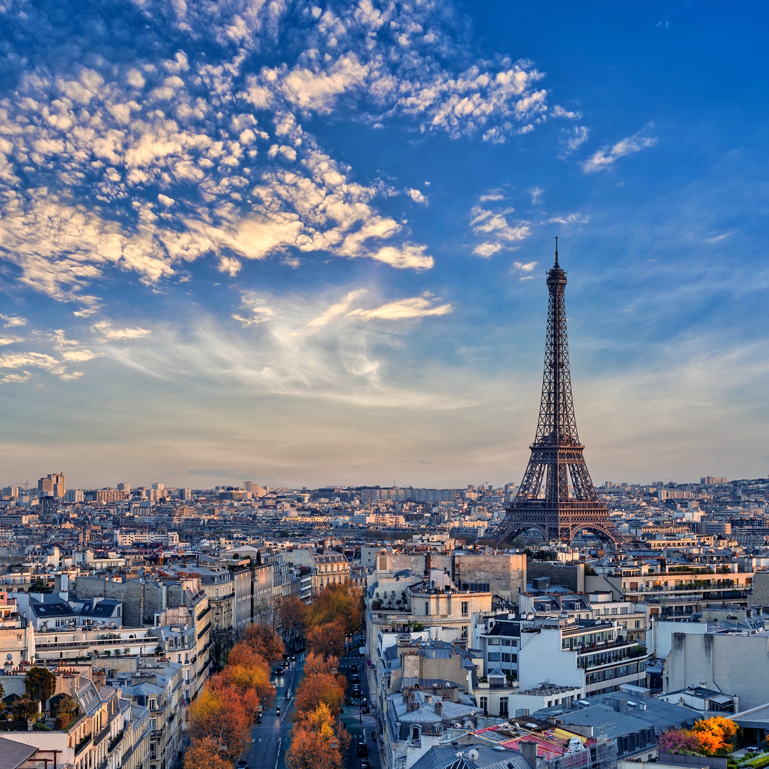 Paris France, high angle view of Eiffel Tower and city skyline with autumn foliage season