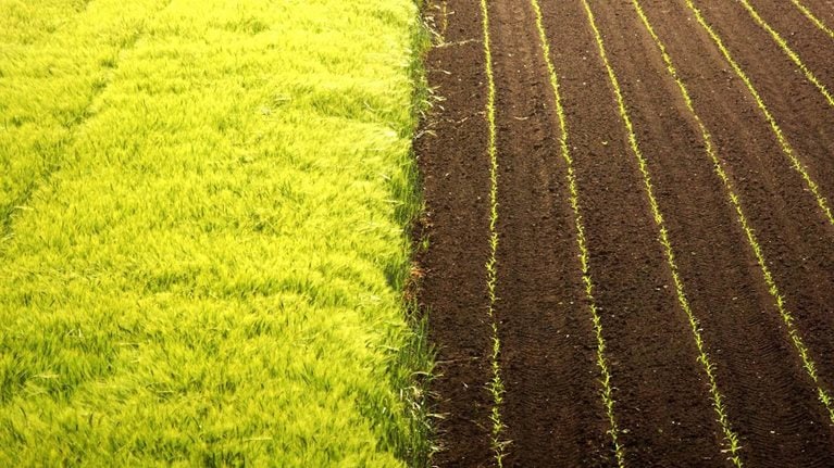 share-repurchases-1536x1536_Standard