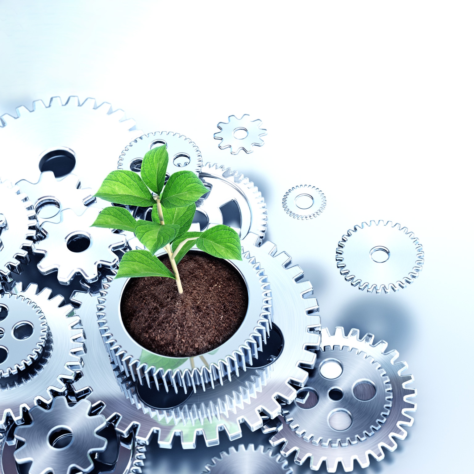 A plant growing out of soil, nestled inside the center of a large metallic gear. Other metallic gears of varying sizes surround the central gear and plant.