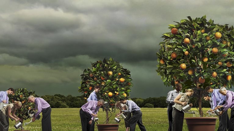 How_we-did-it_1536_1536_500_Standard