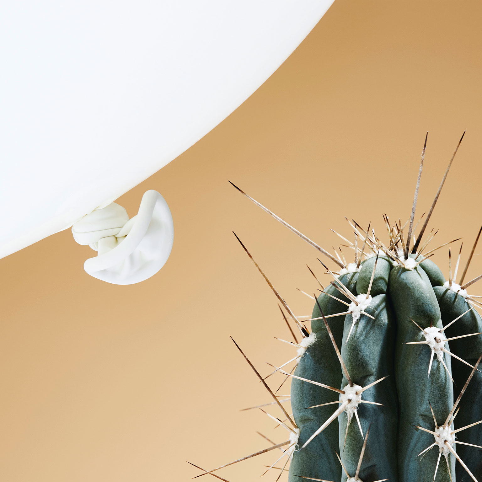 In conversation: Managing in extreme uncertainty