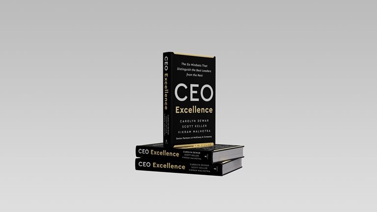 A CEO's guide to excellence