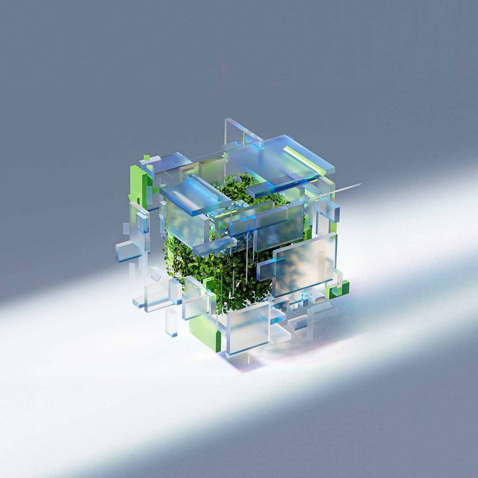 Abstract 3d cube-shaped image of glass panels surrounding and enclosing a plant.