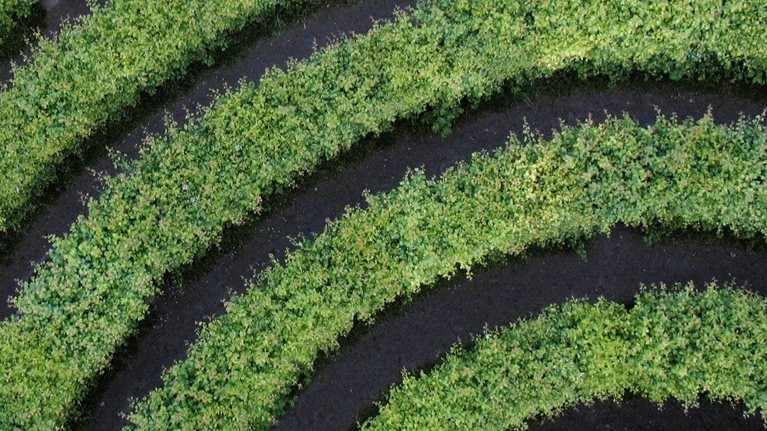 On target: How to succeed with carbon-reduction initiatives