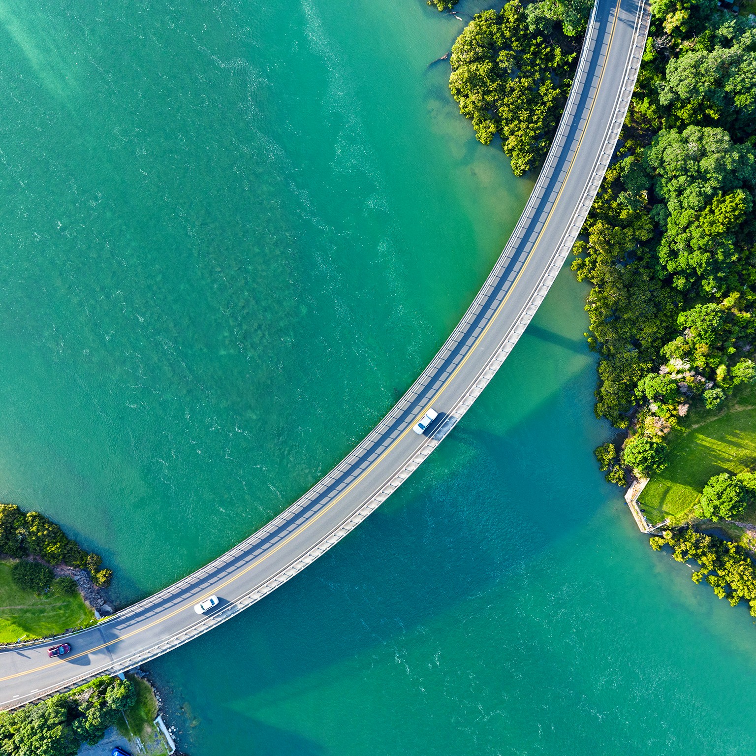 Proven growth strategies from market leaders