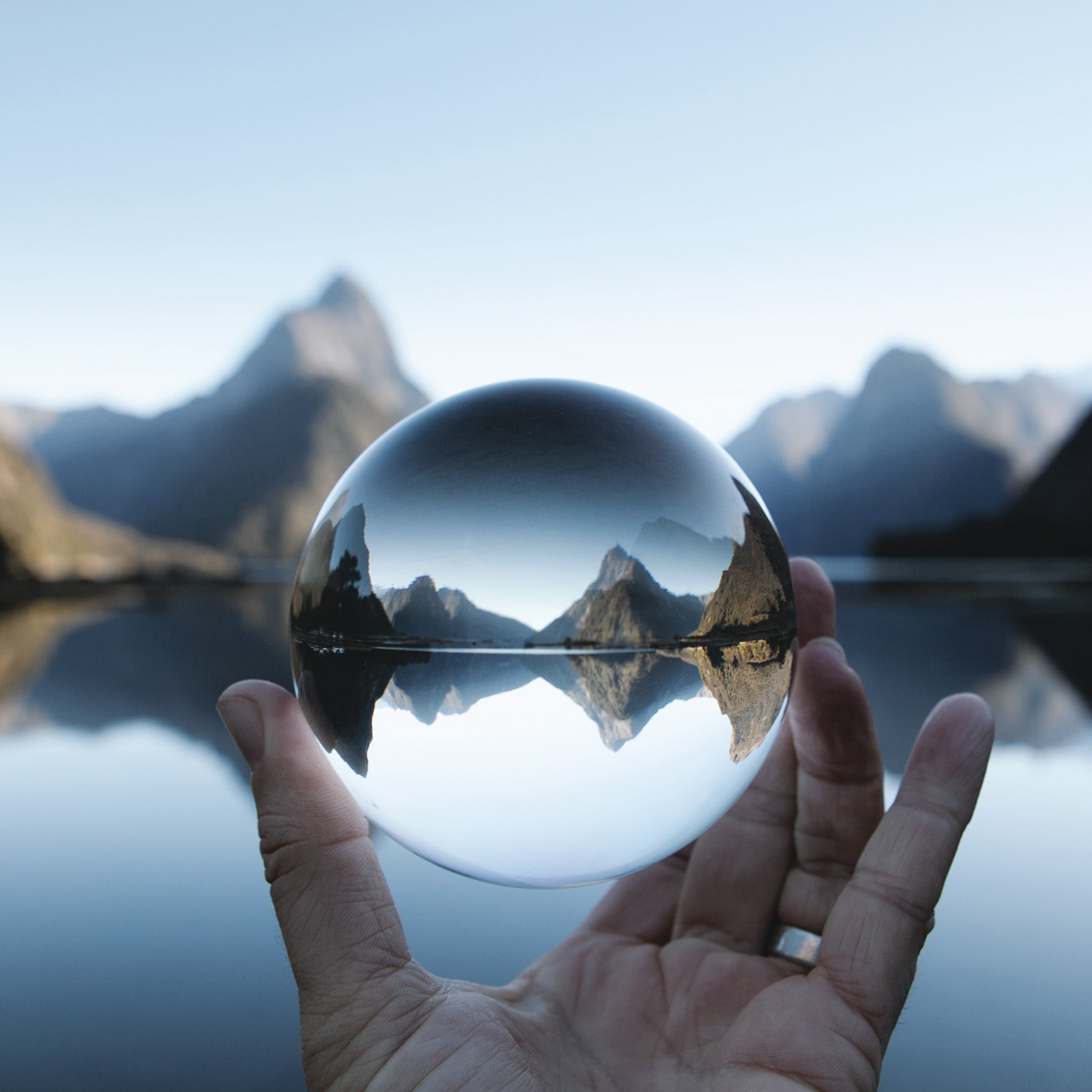 Purpose and the future for capitalism