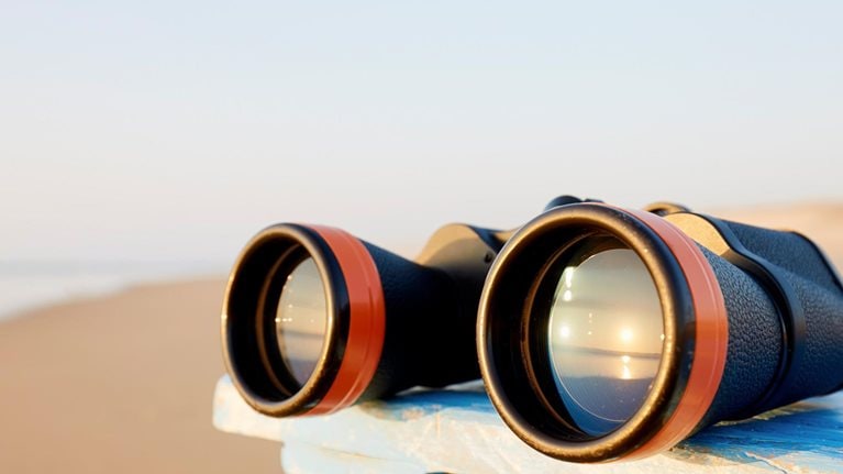 Short-term pain for long-term gain: The new CEO’s dilemma