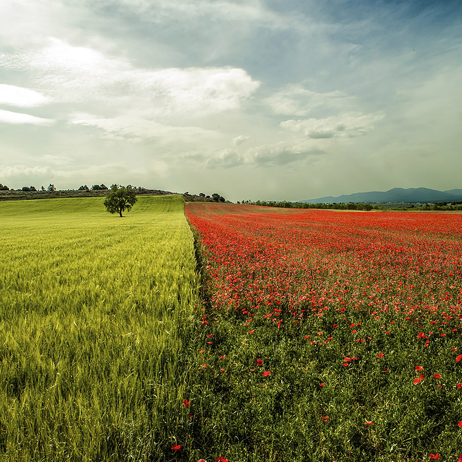 Strategy and Corporate Finance special collection