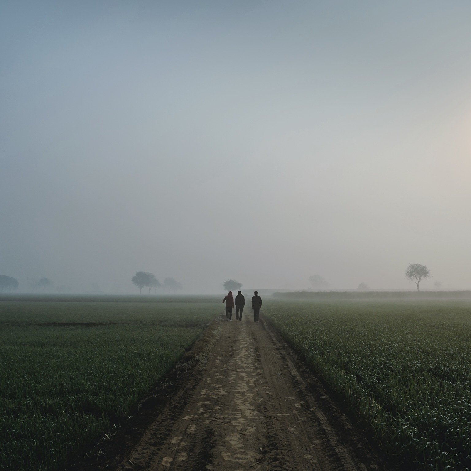 Rear view of friends walking on footpath amidst field against sky during sunrise