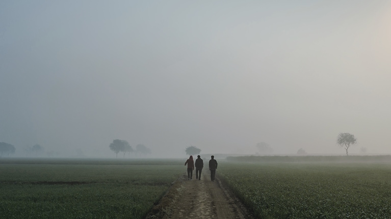 Rear view of friends walking on footpath amidst field against sky during sunrise