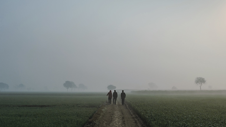 Rear view of friends walking on footpath amidst field against sky during sunrise