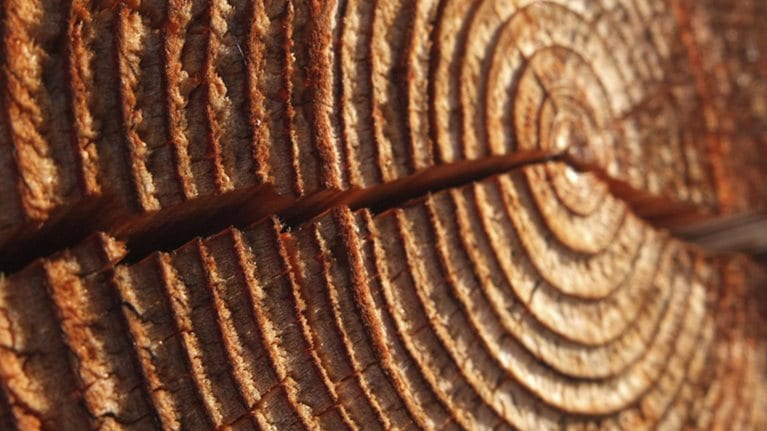 power_of_enduring_companies_1536x1536_Original