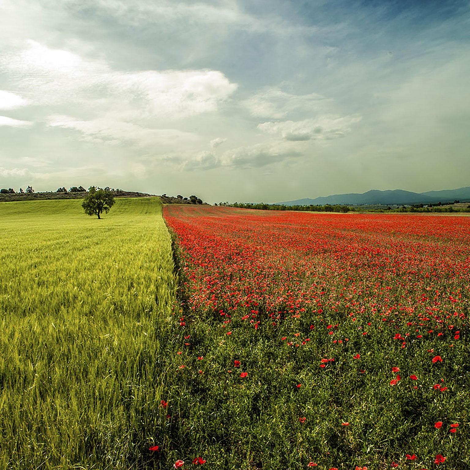 029 The value of share buybacks_mainimage_Original