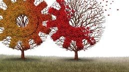 Understanding how US tax reform will affect divestitures