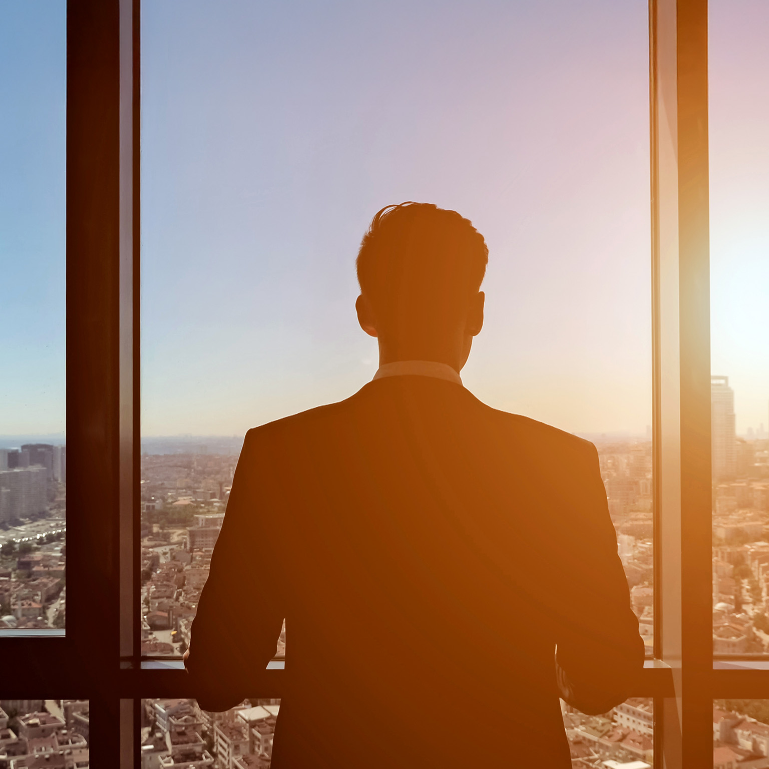 Businessman looking at panoramic city view through a window