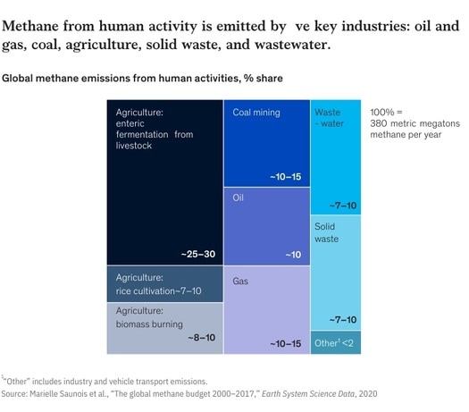 A chart titled “Methane from human activity is emitted by five key industries: oil and gas, coal, agriculture,solid waste, and wastewater.” Click to open the full article on McKinsey.com.