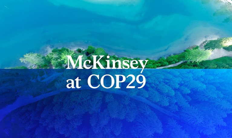 COP29 promo image