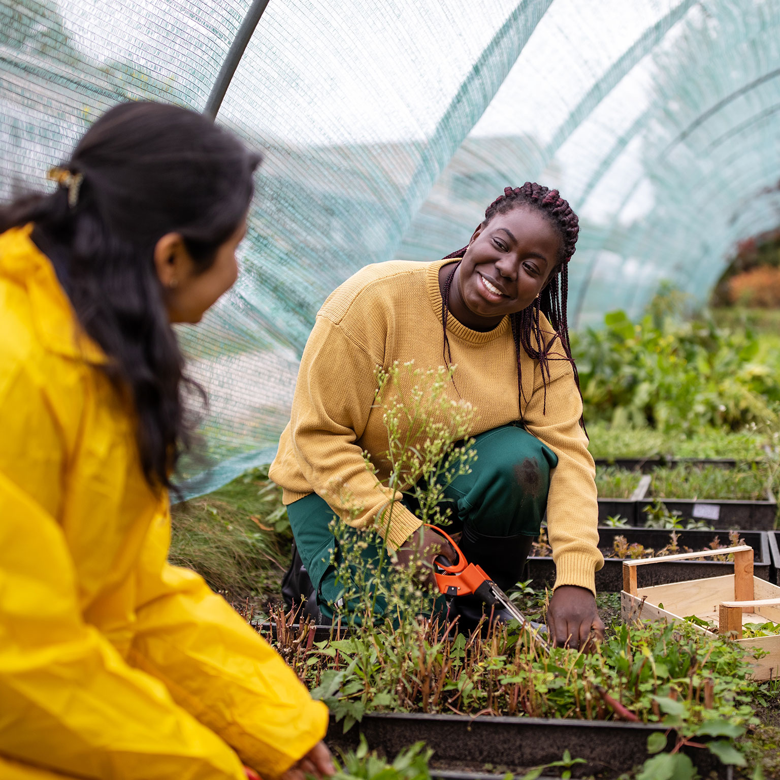 Environmental, Social, and Governance 