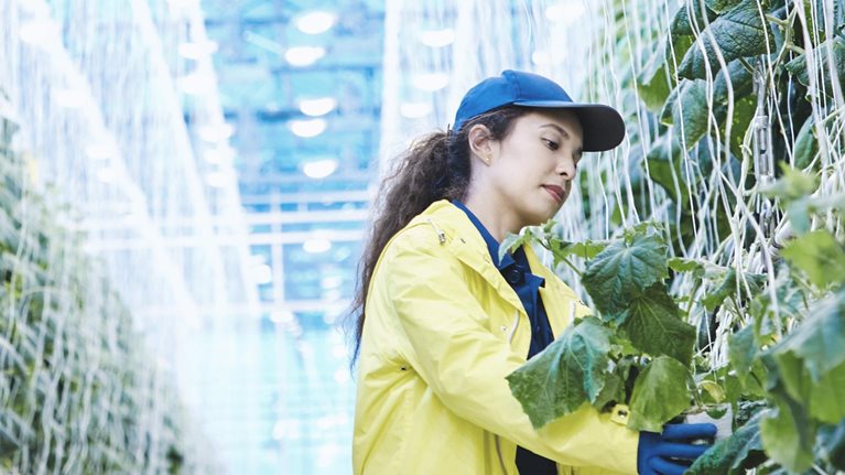 Net Zero & ESG Strategy