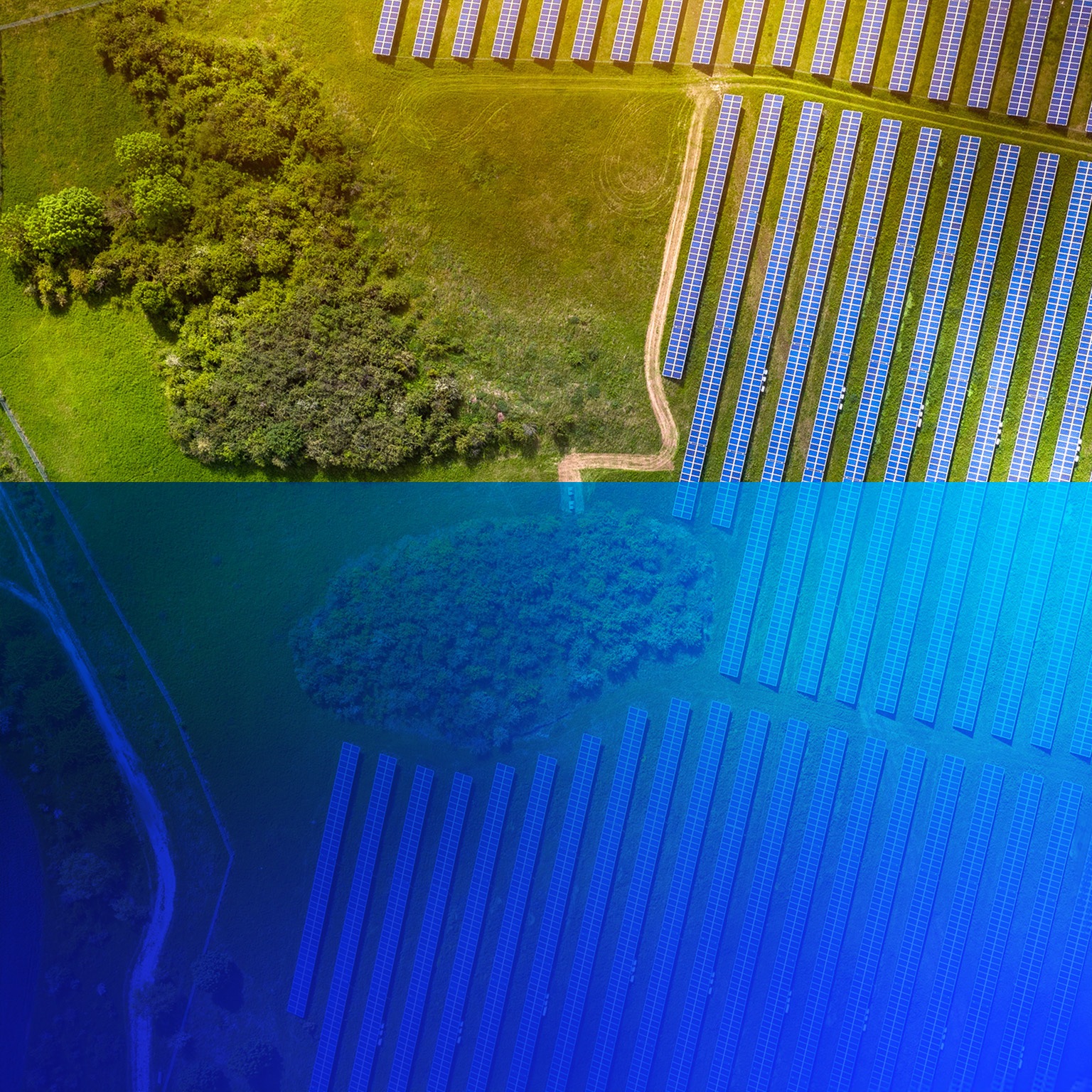 Sustainability Growth Platform