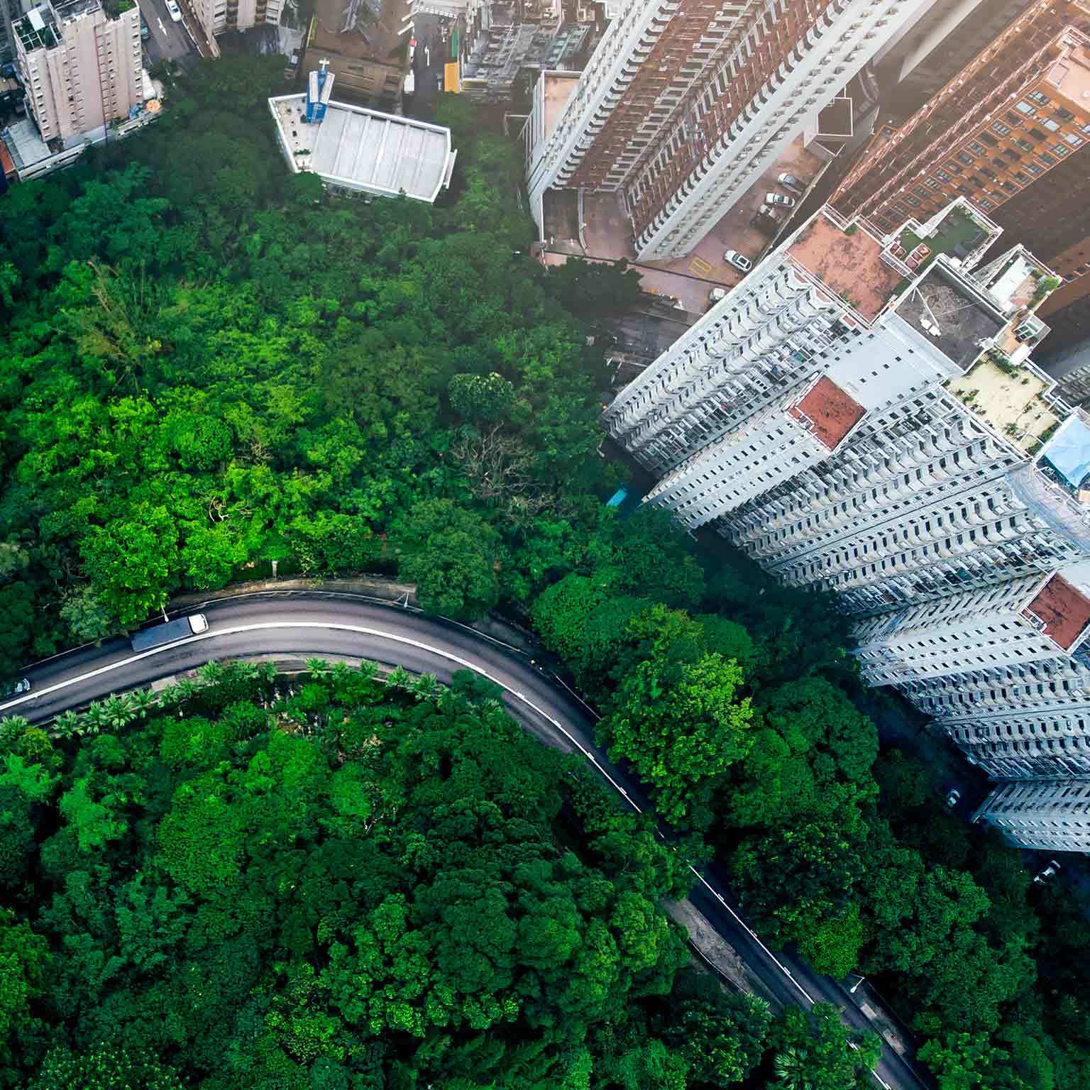Overhead view of a city road surrounded by trees and skyscrapers