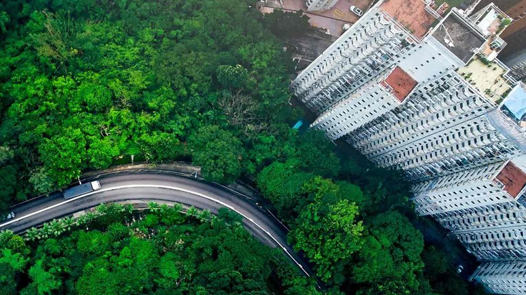 Overhead view of a city road surrounded by trees and skyscrapers
