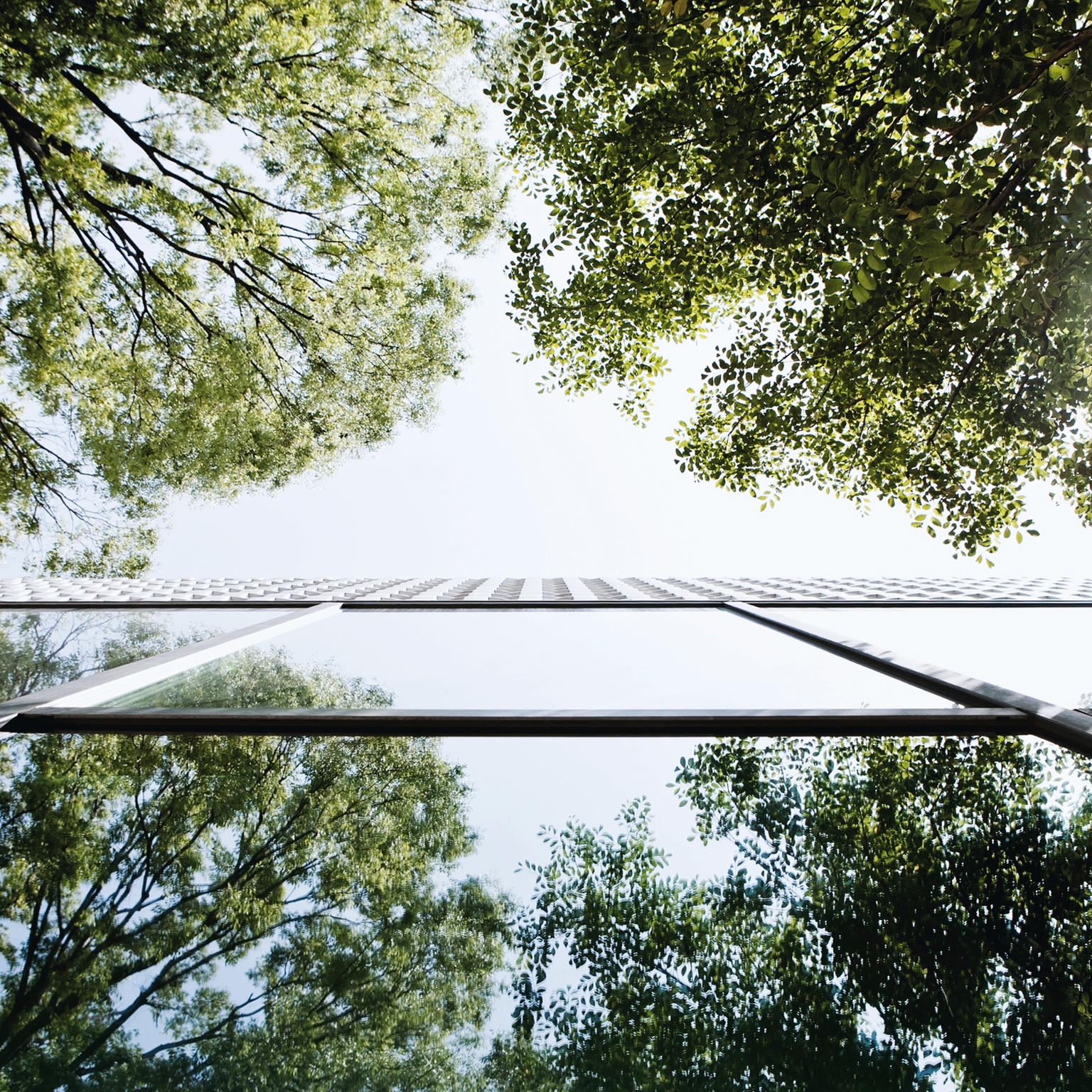 CEO Interview: Natixis and CDPQ invest in climate action