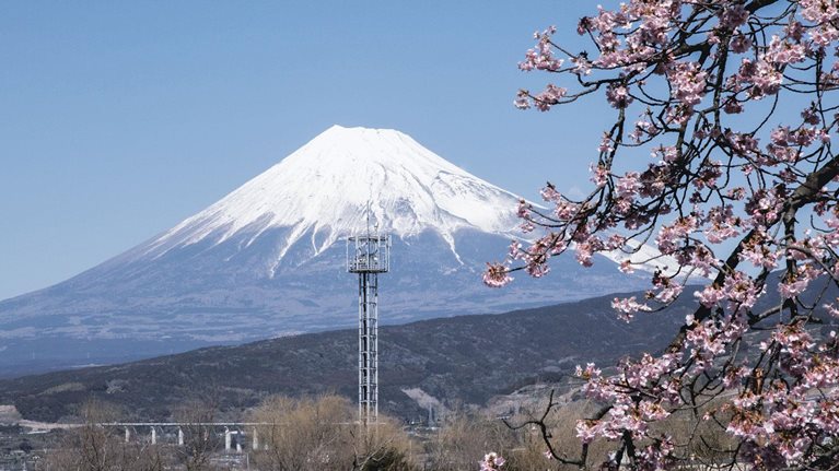 Charting a path from the shuchu kiyaku to ESG for Japanese companies
