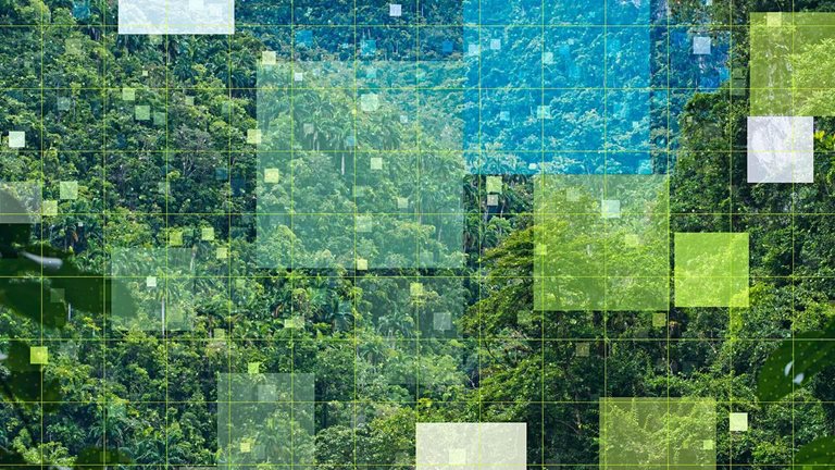 A photo of a lush green landscape with a digital overlay of squares