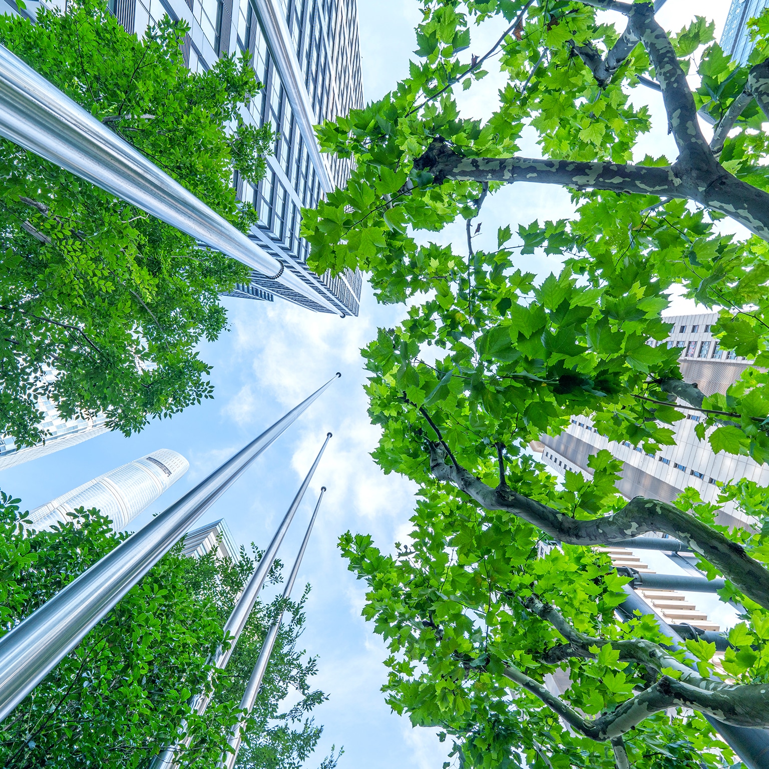  Bottom view of modern eco city