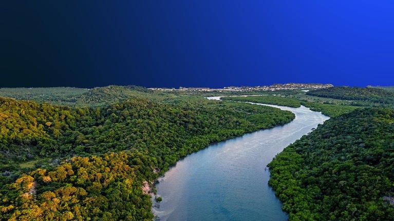 Aerial view of the Atlantic forest river in Brazil