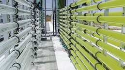 How negative emissions can help organizations meet their climate goals