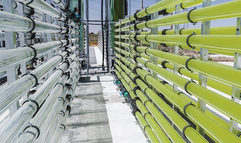 How negative emissions can help organizations meet their climate goals