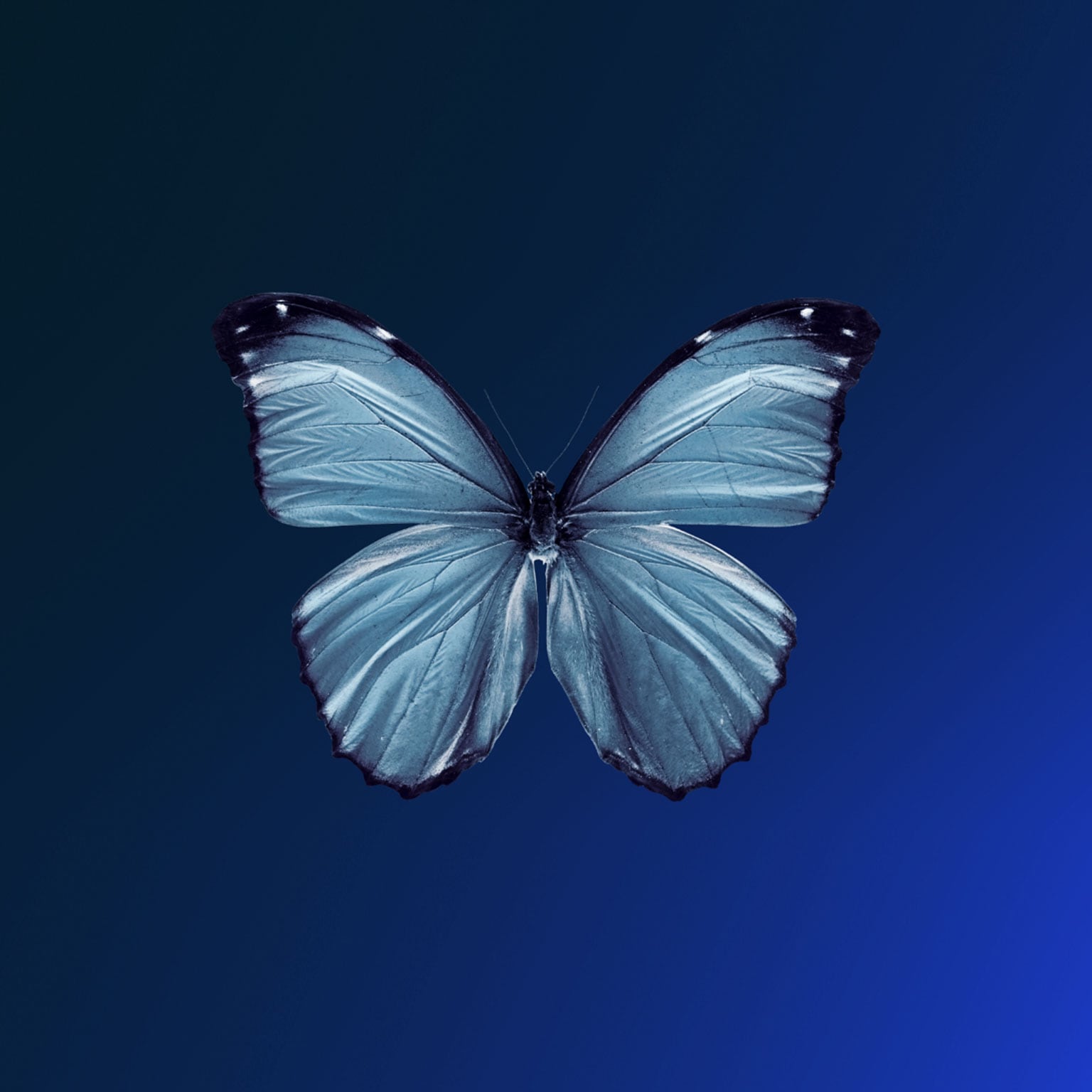 Innovate to net zero