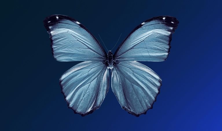 Innovate to net zero