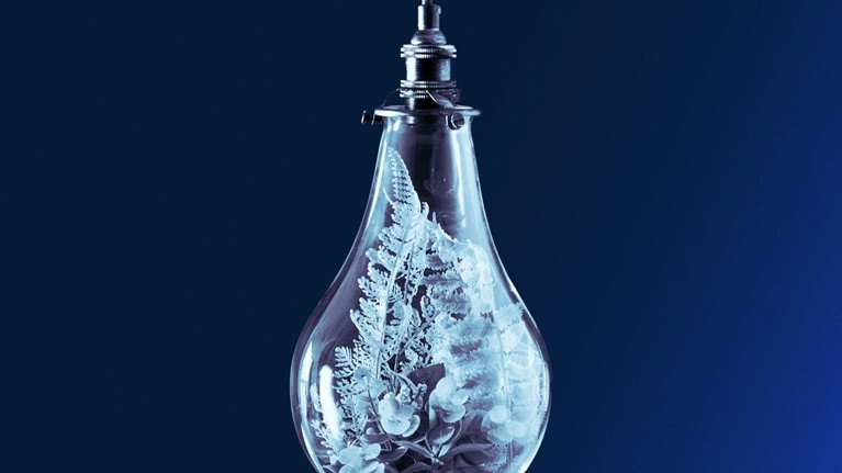 Insights on the net-zero transition