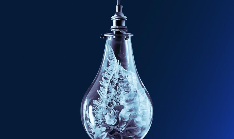 Insights on the net-zero transition