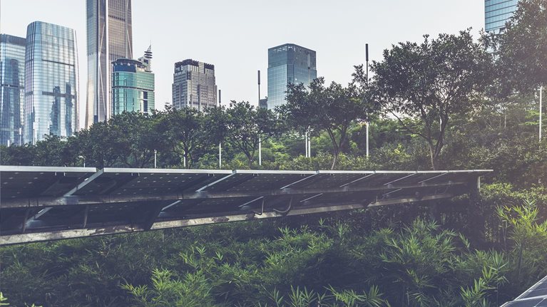 Leading the battle against climate change: Actions for China